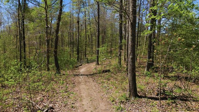 1043 Murphy Hollow Road, Vanleer, TN 37181