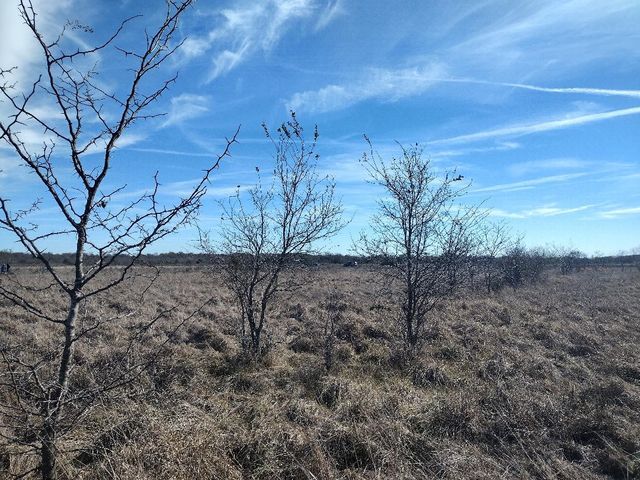 18 Harrison Circle, Wills Point, TX 75169