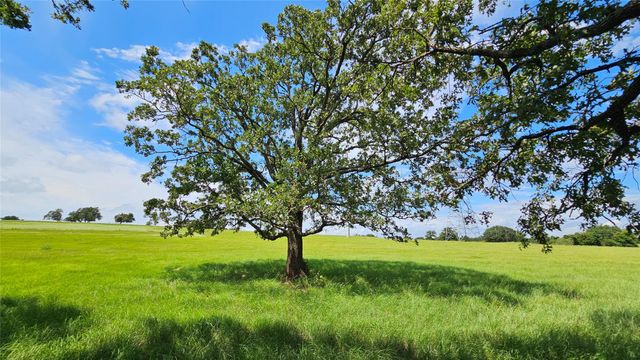 2055 CR 481 Tract 1, Thrall, TX 76578