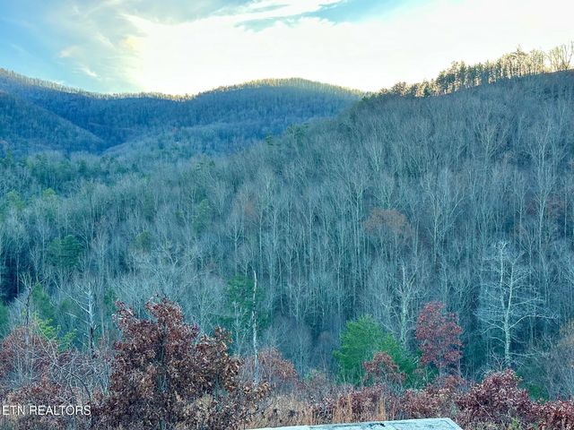 1611 Mountain Dreams Way, Pigeon Forge, TN 37862