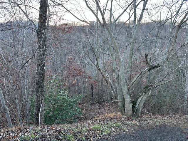 1611 Mountain Dreams Way, Pigeon Forge, TN 37862