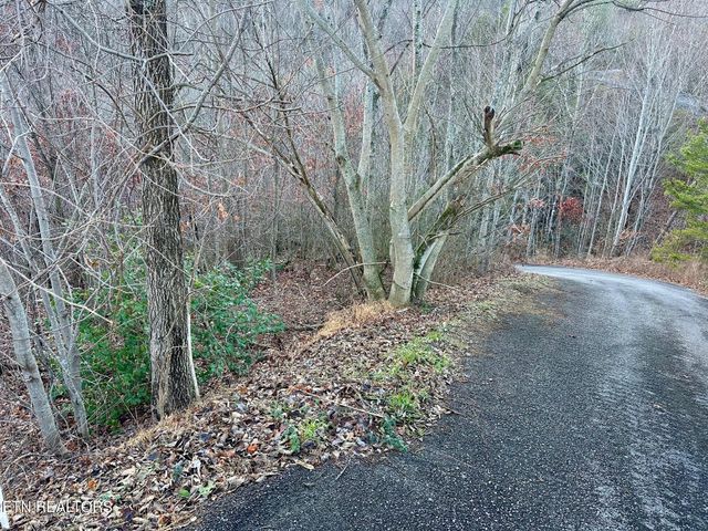 1611 Mountain Dreams Way, Pigeon Forge, TN 37862