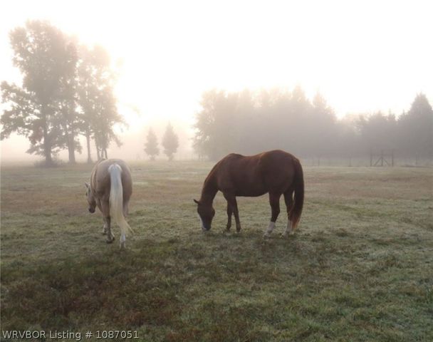 3414 Bugscuffle Road, Lavaca, AR 72941