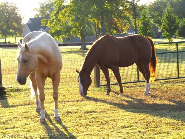 3414 Bugscuffle Road, Lavaca, AR 72941