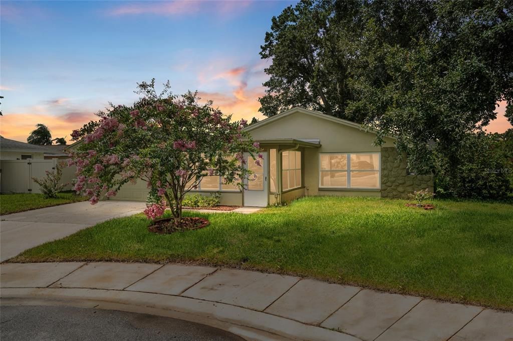 1811 HIBISCUS COURT S, Oldsmar, FL 34677