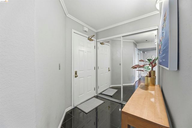 535 Pierce 5203, Albany, CA 94706