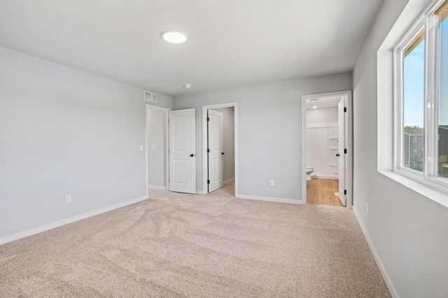 Lot 1 S Niles Road, Royalton Twp, MI 49085