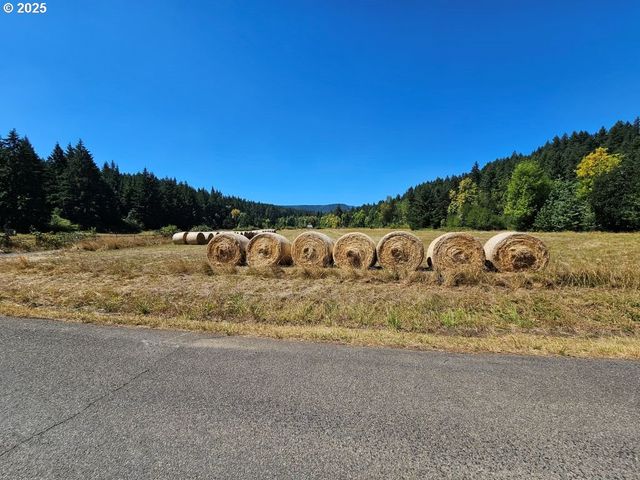 82168 HANNA Rd, Dexter, OR 97431