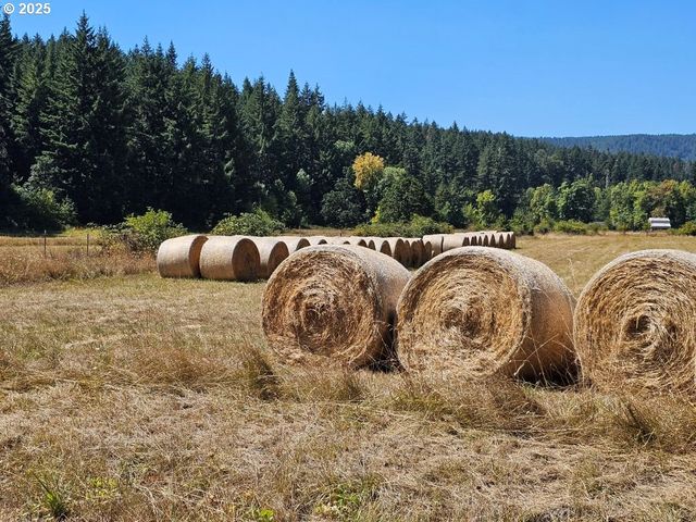 82168 HANNA Rd, Dexter, OR 97431