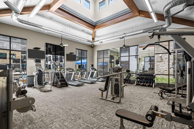1616 W Dallas Street 229, Houston, TX 77019