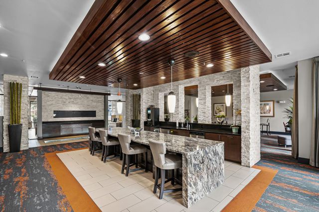 1616 W Dallas Street 229, Houston, TX 77019