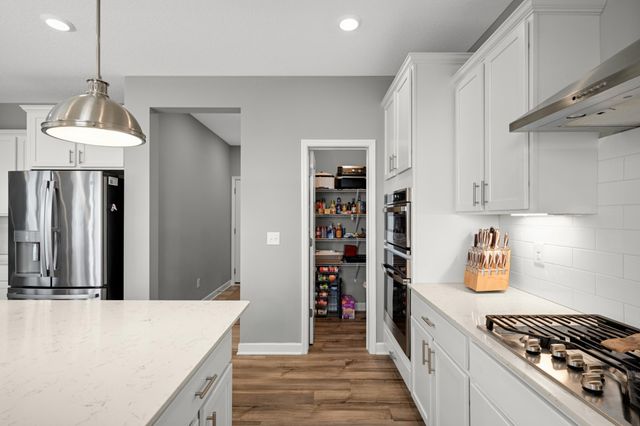 870 Spancil Hill Drive, Woodbury, MN 55129