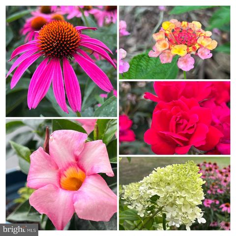 16 SCOTLAND DR, Reading, PA 19606