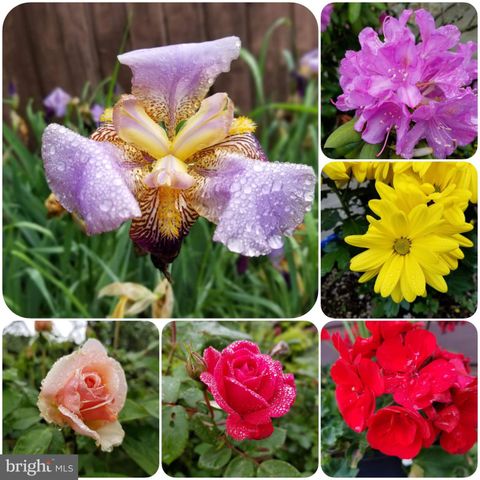 16 SCOTLAND DR, Reading, PA 19606