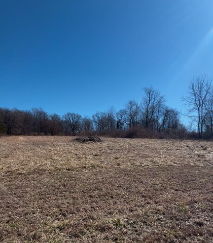 1612 S Jefferson Street, Ava, MO 65608