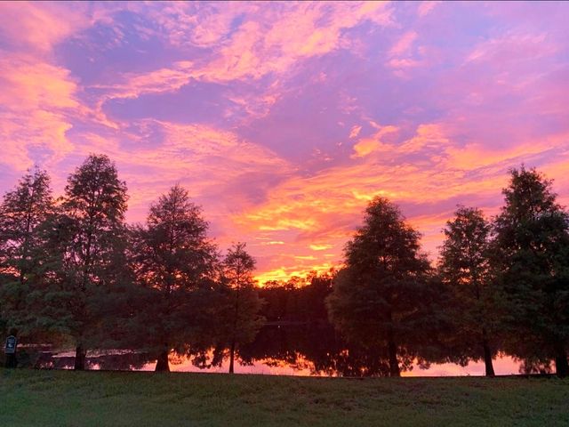 2207 GREEN OAKS LANE, Tampa, FL 33612