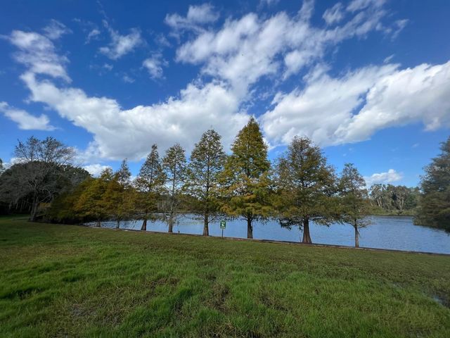 2207 GREEN OAKS LANE, Tampa, FL 33612