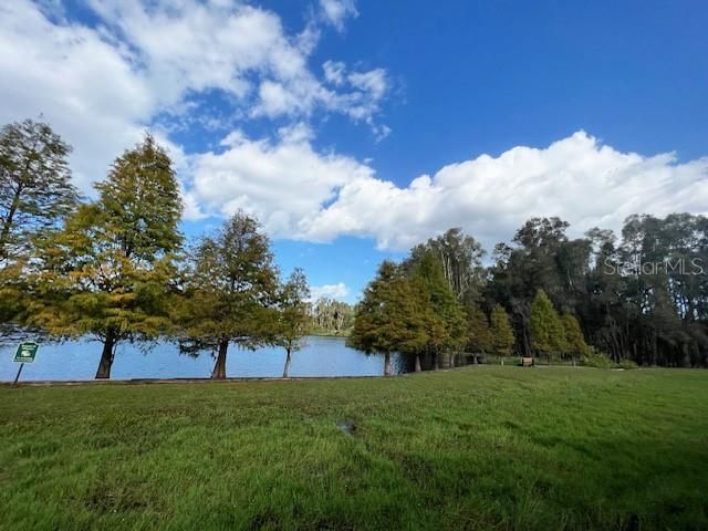 2207 GREEN OAKS LANE, Tampa, FL 33612