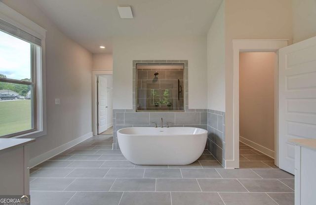 107 Homesite Saddle Drive, Senoia, GA 30276