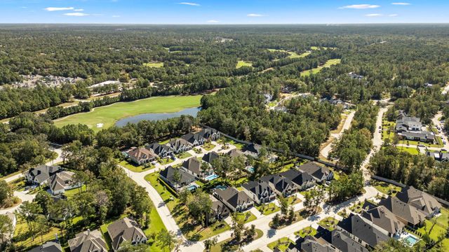 203 S Empress Green Place, Montgomery, TX 77316