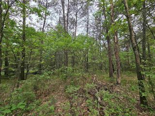 Lot 1 16th Avenue, Necedah, WI 54646