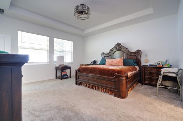 6084 CLAYSTONE WAY, Mount Dora, FL 32757