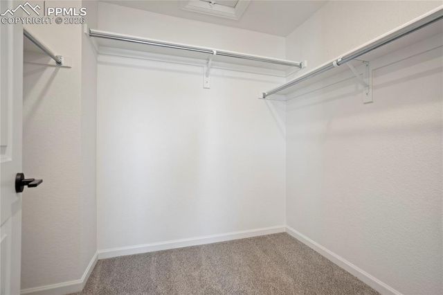 897 Beckton Heights, Colorado Springs, CO 80907