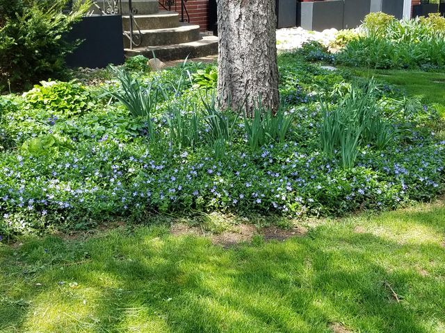 8814 Lee Street, Crown Point, IN 46307