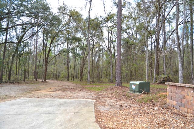 1142 Ashville Highlands Drive, Greenville, FL 32331