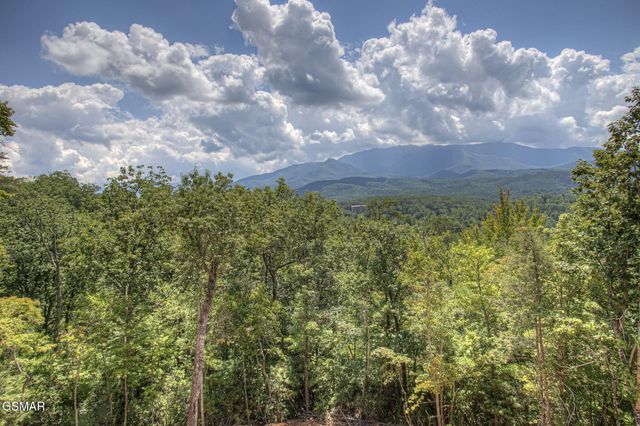 775 Cartertown rd Road, Gatlinburg, TN 37738