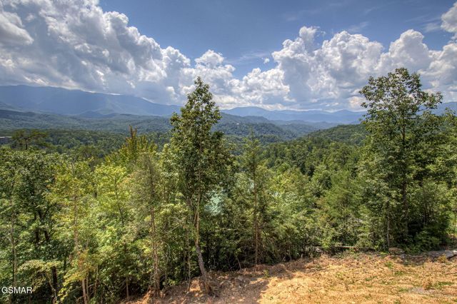 775 Cartertown rd Road, Gatlinburg, TN 37738