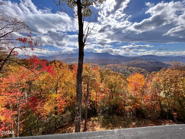 775 Cartertown rd Road, Gatlinburg, TN 37738