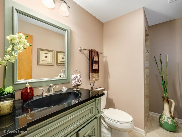 9716 S Kingsbury Court, Palos Hills, IL 60465