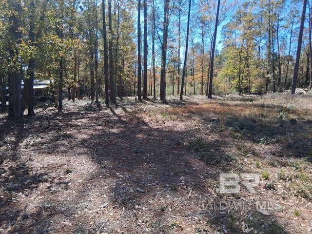 10116 Bayhaven Drive, Fairhope, AL 36532