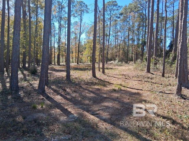 10116 Bayhaven Drive, Fairhope, AL 36532