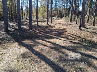 10116 Bayhaven Drive, Fairhope, AL 36532