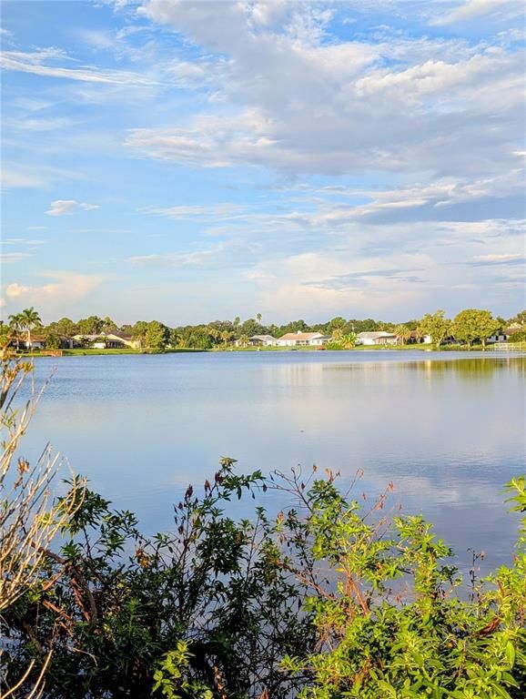 22309 PRISCILLA AVENUE, Port Charlotte, FL 33954
