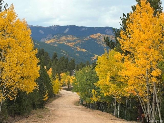 302 Miners Way, Bailey, CO 80421