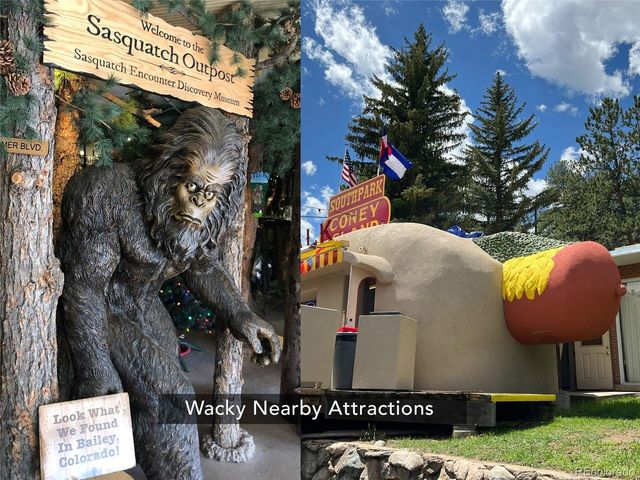 302 Miners Way, Bailey, CO 80421
