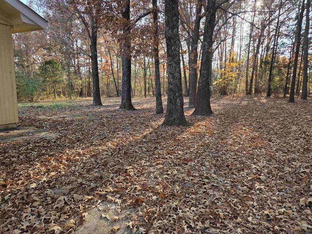 156 Pottawattamie Drive, Cherokee Village, AR 72529