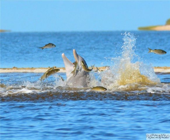 9 Cypress Lane, Inglis, FL 34449