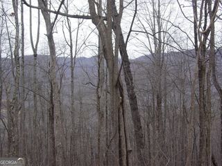 #16 Roaring Ridge, Hiawassee, GA 30546