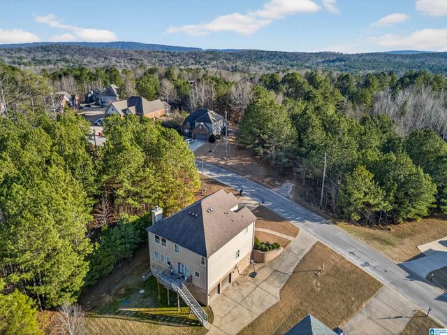 820 BROOKHAVEN DRIVE, Odenville, AL 35120