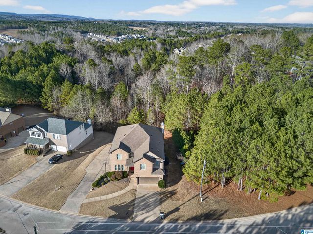 820 BROOKHAVEN DRIVE, Odenville, AL 35120