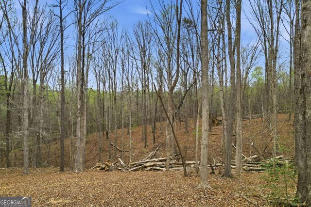0 Carlan Road, Jasper, GA 30143