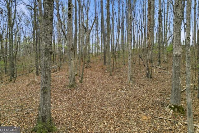0 Carlan Road, Jasper, GA 30143