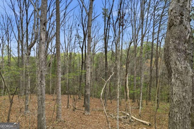 0 Carlan Road, Jasper, GA 30143