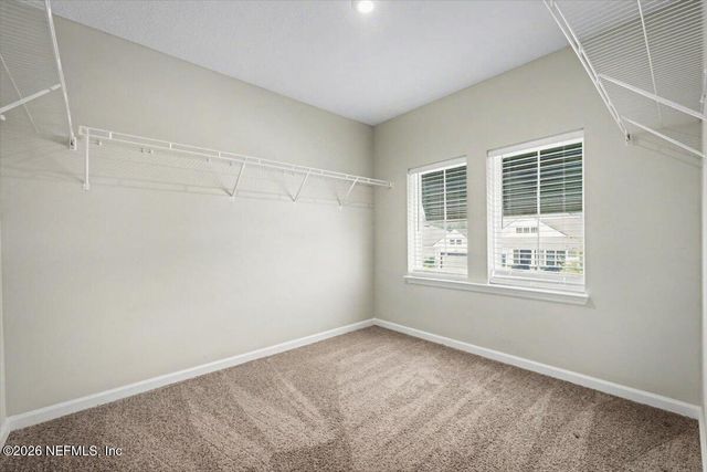 1009 OAKLAND HILLS Avenue, Middleburg, FL 32068