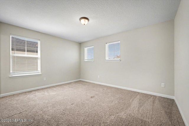 1009 OAKLAND HILLS Avenue, Middleburg, FL 32068