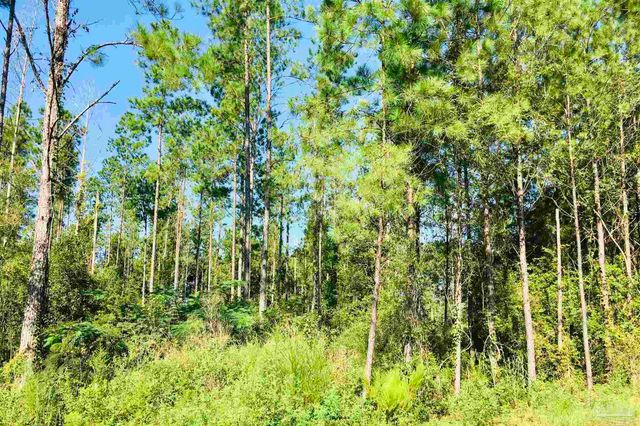 9209 Sage Forest Ln, Pace, FL 32571